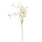 Set of 6 Foamy Silver Dollar Spray Artificial Cream Foam Leaves Green Stem 21 Inch Flexible Branch Farmhouse Vase Home Decor Accent